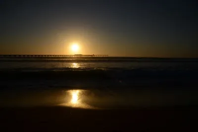 DSC_7093 (Large).JPG